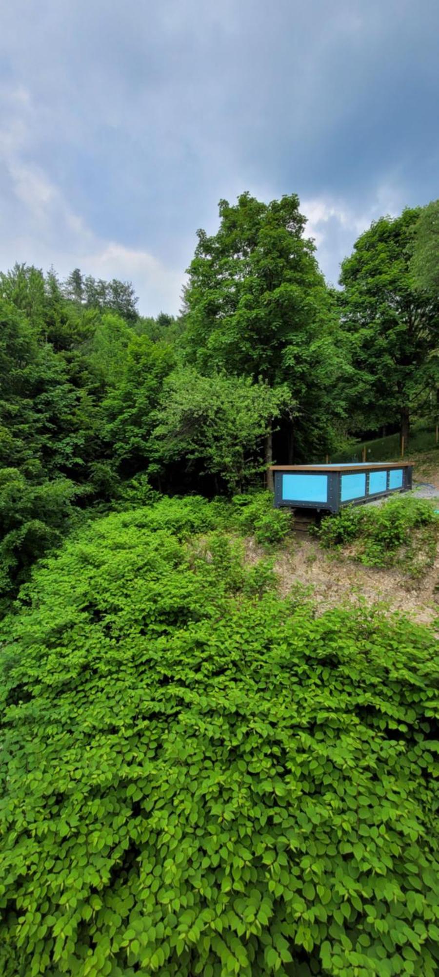 Cicha Polana Villa Szczyrk Dış mekan fotoğraf